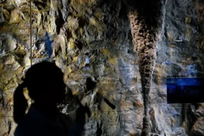 Kirli zannettiği sanat eserini tuvalet kağıdıyla temizleyip yok etti | NTV Haber