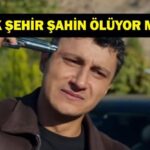 UZAK ŞEHİR ŞAHİN ÖLÜYOR MU? Alper Çankaya diziden ayrılıyor mu? Kendini vurdu, son sahne olay oldu!