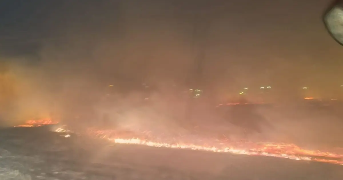 Tandırdan sıçrayan kıvılcım mısır tarlasını yaktı | NTV Haber