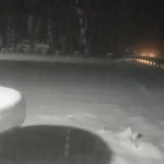 Malatya’da kar yağışı kırsal kesimde hayatı felç etti
 | NTV Haber