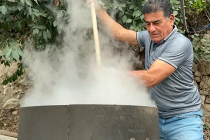 Ormanda kendiliğinden yetişiyor, litresi bin lira: Geçen yıl 400 liraydı | NTV Haber