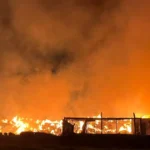 İzmir'de çöp depolama alanında yangın: Alevlere müdahale sürüyor | NTV Haber