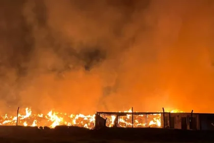 İzmir'de çöp depolama alanında yangın: Alevlere müdahale sürüyor | NTV Haber