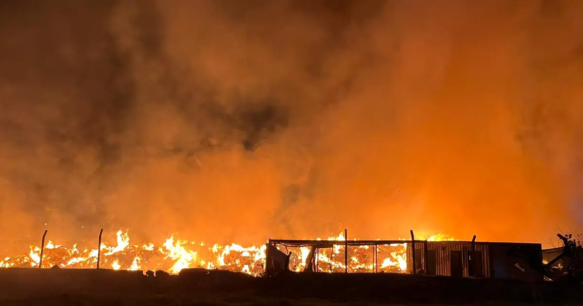 İzmir'de çöp depolama alanında yangın: Alevlere müdahale sürüyor | NTV Haber