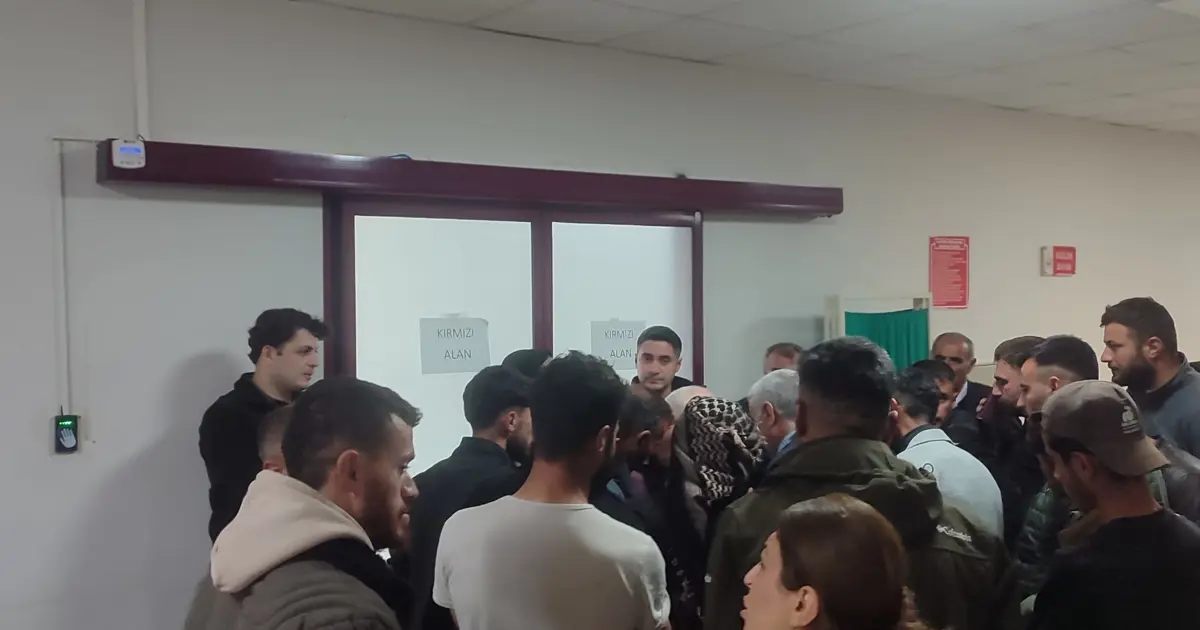 Kargo aracı 2 yaşındaki çocuğa çarptı | NTV Haber