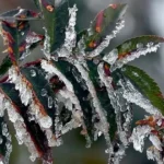 Üreticilere toplam 22 milyar 946 milyon lira zirai don desteği | NTV Haber