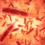 Kadim tehdit geri dönüyor: Tifo hızla antibiyotiklere direnç kazanıyor