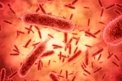 Kadim tehdit geri dönüyor: Tifo hızla antibiyotiklere direnç kazanıyor