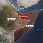 Somali'ye kurulacak uzay limanının ayrıntıları belli oldu | NTV Haber
