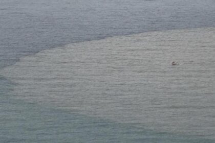 Bartın Irmağı'nın döküldüğü noktada denizin rengi kahverengiye döndü