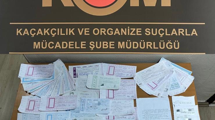 Mersin'de sahte evrakla dolandırıcılık operasyonu; 8 gözaltı