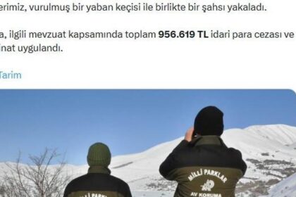 Yaban keçisi vuran avcıya 956 bin TL ceza