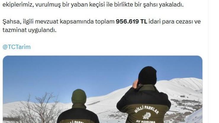 Yaban keçisi vuran avcıya 956 bin TL ceza