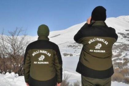 Yaban keçisi vuran avcıya 1 milyona yakın para cezası