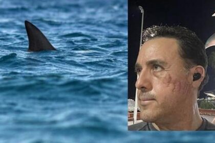 40 metre derinlikte dehşet! Köpek balığı saldırısından sağ kurtuldu: Birden çenesini tekrar açtı, isteseydi öldürebilirdi