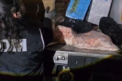 Şanlıurfa'da 43 bin paket kaçak sigara ele geçirildi