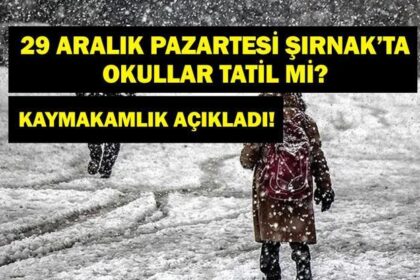 ŞIRNAK'TA OKULLAR TATİL Mİ? 29 Aralık Pazartesi Şırnak'ta Okullar Tatil Mi? Şırnak Beytüşşebap Kaymakamlığı'ndan Son Dakika Açıklaması!