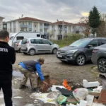 Hem ceza yedi, hem kirlettiği alanı temizledi | NTV Haber