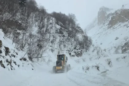 Artvin'de çığ düştü. Üç çoban aranıyor | NTV Haber