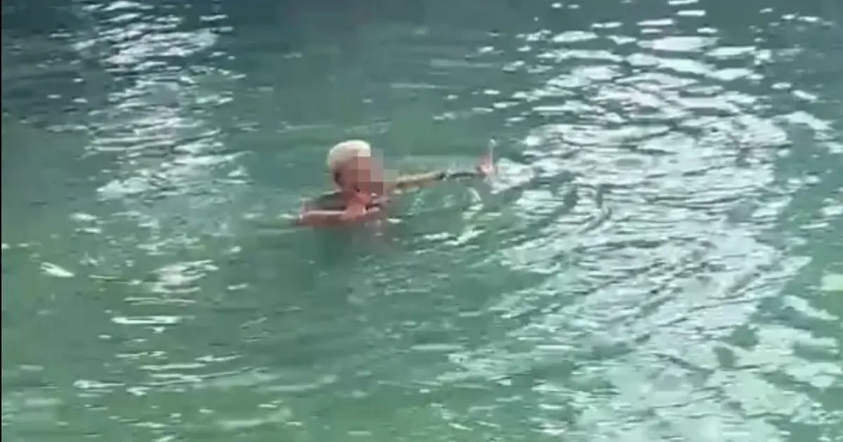 İşten çıkarılınca Balıklıgöl'e çivileme atladı | NTV Haber