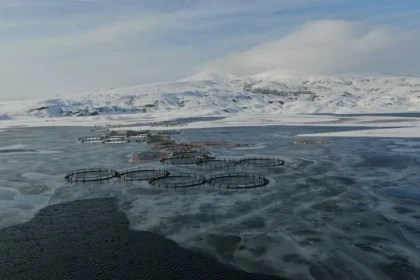Bir ilçe dondu. Türkiye'nin en soğuk yeri | NTV Haber