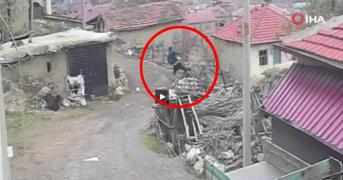 Eşini sopa ve yumruk ile dövüp yerde tekmeledi | NTV Haber