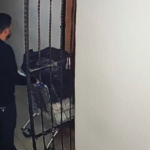 Erdal Timurtaş ve eşi hakkında kırmızı bülten çıkarıldı | NTV Haber