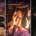 Elif bu fotoğraflardan sonra sır oldu | NTV Haber