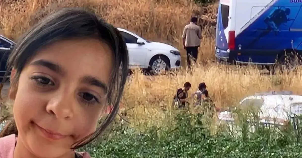 Yargıtay'dan Narin Güran kararı. Nevzat Bahtiyar yeniden yargılanacak | NTV Haber