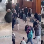 Camiye giren pitbullun sahibine adli ve idari işlem | NTV Haber