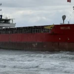 Tekirdağ'da yük gemisi karaya oturdu | NTV Haber