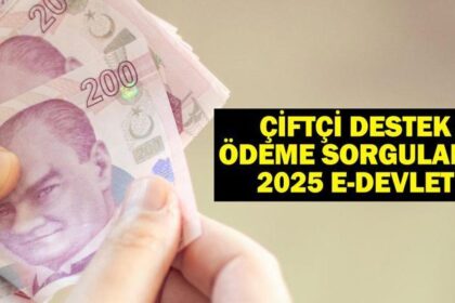 ÇİFTÇİ DESTEK ÖDEME SORGULAMA 2026 e-DEVLET: Tarımsal destekleme ödemeleri sorgulama nasıl yapılır?