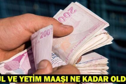 DUL VE YETİM AYLIĞI NE KADAR OLDU? Enflasyon rakamları sonrası dul ve yetim aylığı / 65 yaş maaşı miktarı!