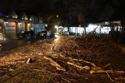 İzmir'de şiddetli rüzgar: Otomobilin üzerine ağaç devrildi