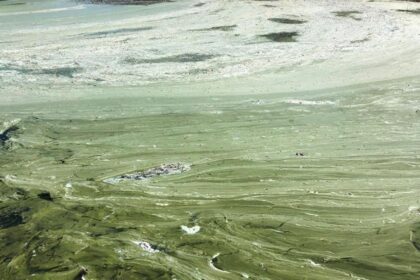 Eğirdir Gölü'nde 'bulanık yapı' riski