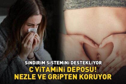 Kilosu 35 TL! C vitamini deposu! Nezle ve gripten koruyor, sindirim sistemini destekliyor