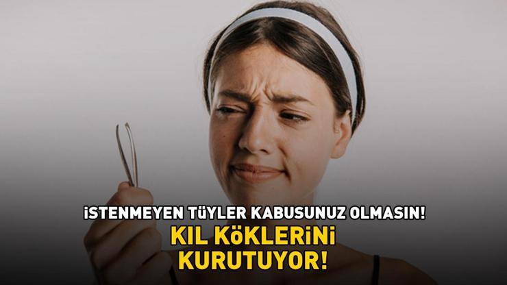 Ağda, tıraş ve epilasyona son! Kıl köklerini kurutan 2 malzemeli doğal yöntem: 'İSTENMEYEN TÜYLER KABUSUNUZ OLMASIN'
