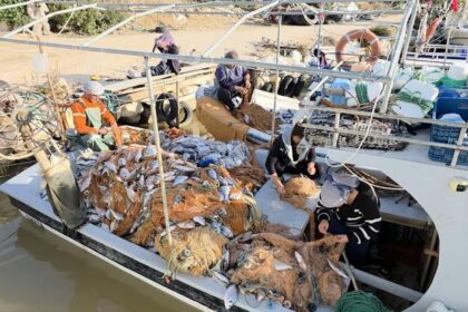 Silifke’de balık çiftliğinin ağı yırtıldı, tekneler balıkla doldu