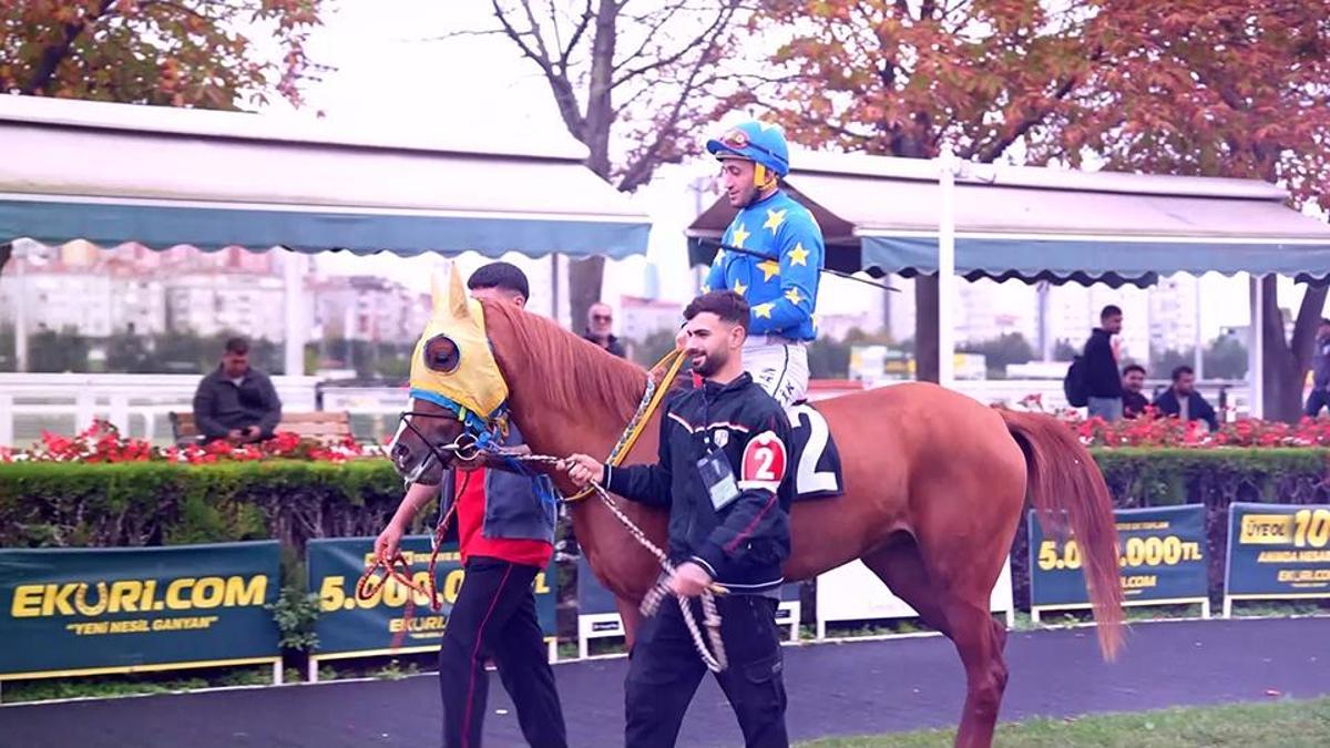 Padok: Yarış öncesi son çıkış! Atların fiziksel ve mental durumu burada gözlemlenir... - Binicilik | Video