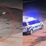 Yeğenini yaraladı, kazayla kendini vurdu | NTV Haber