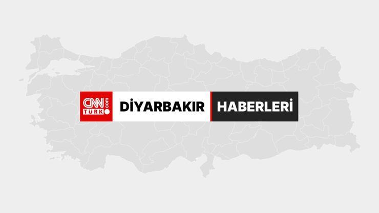 Diyarbakır- Domuz sürüsü baraj gölünde yüzerek karşıya geçti