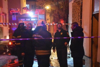 Kedilerin beslendiği evde yangın; 26 kedi öldü