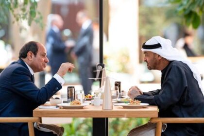 Mısır Cumhurbaşkanı Sisi'den BAE temasları