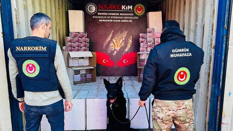 Üç gümrük kapısında 4,6 milyar liralık uyuşturucu ele geçirdi