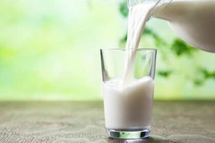 Süt üretiminde yıllık gerileme, yoğurt ve kefirde artış dikkat çekti