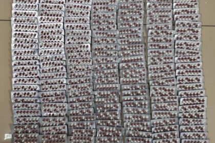 Polis ticari araçta 2 bin 684 adet sentetik ecza maddesi ele geçirdi