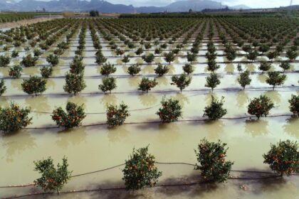 Kuraklık tehlikesi ile karşı karşıya kalan Adana'da barajlar doldu taştı/Ek fotoğraflar - Son Dakika Adana Haberleri