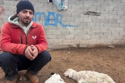 Kuzular belirti göstermeden bir anda telef oluyor | NTV Haber