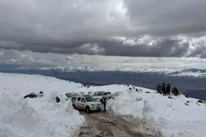 Ağrı'da kaybolan kadın dağcı için arama çalışması başlatıldı | NTV Haber