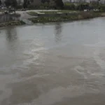 Cizre'de boru hattında sızıntı. Petrol Dicle Nehrine karıştı, ekipler arızayı giderdi | NTV Haber